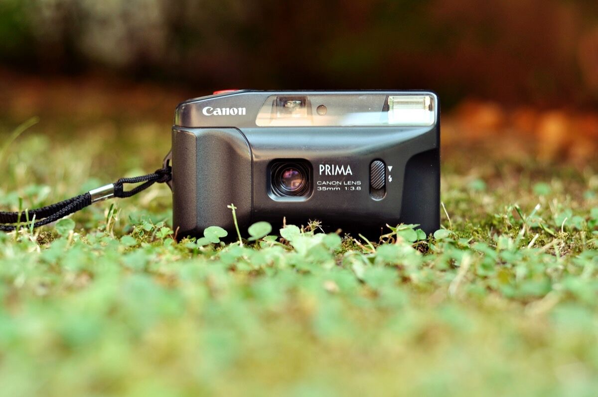 a close-up photo of a Canon Prima fixed-lens film camera sitting in the grass